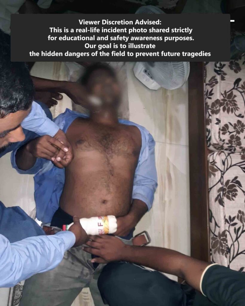 Real-life electrical accident case study for lineman safety awareness.